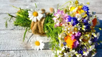 Ästhetische Zahnheilkunde