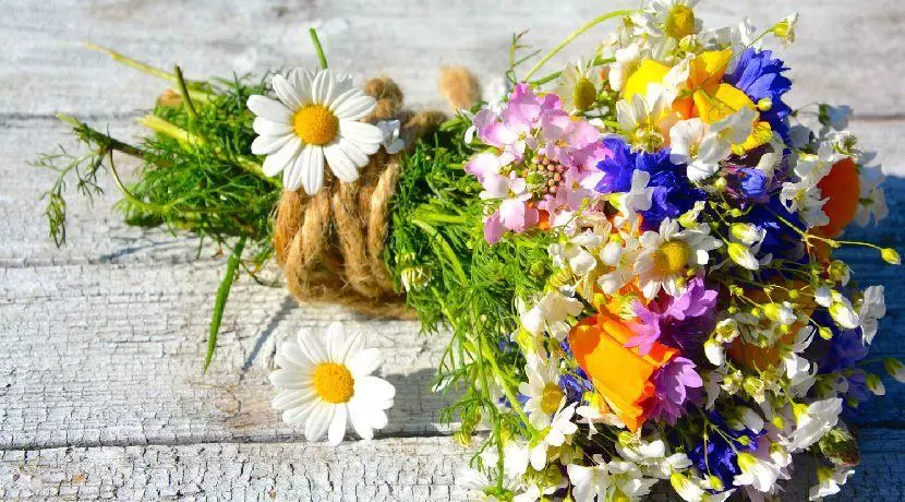 AdobeStock 295499300